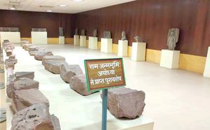विष्णुहरि शिलालेख से प्राचीन स्तम्भ तक